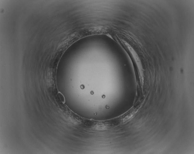 X0000077320416200611031710