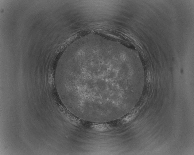 X0000077320417200611031710