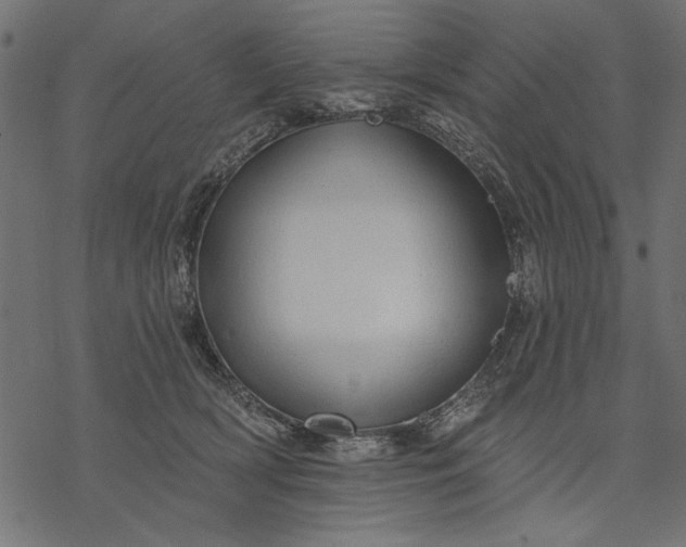 X0000077320418200611031710