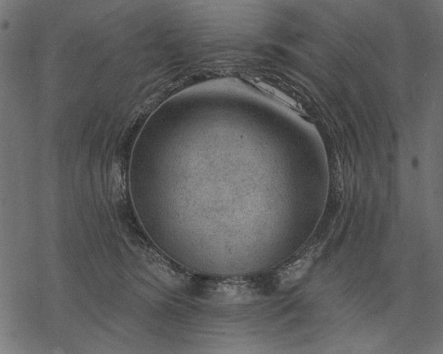 X0000077320420200611031710