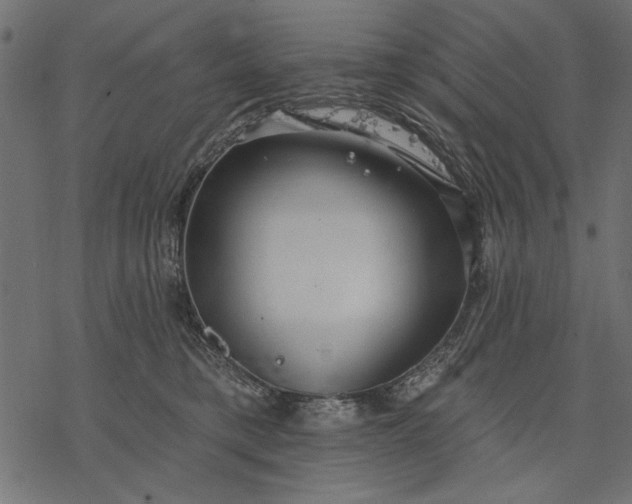 X0000077320421200611031710