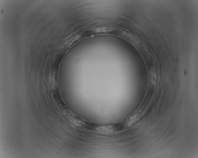 X0000077320422200611031710