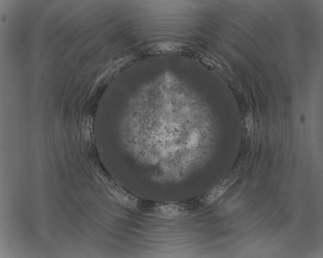 X0000077320423200611031710