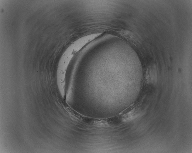 X0000077320424200611031710