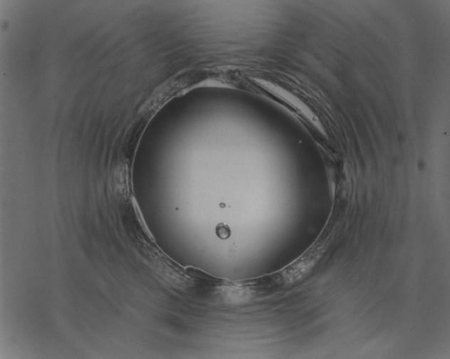 X0000077320425200611031710