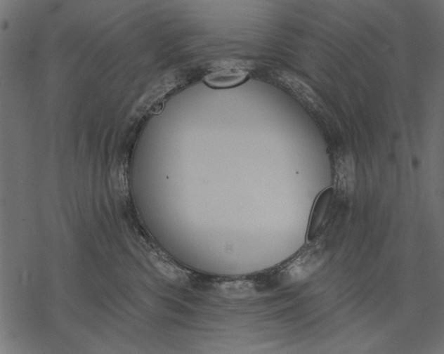 X0000077320426200611031710