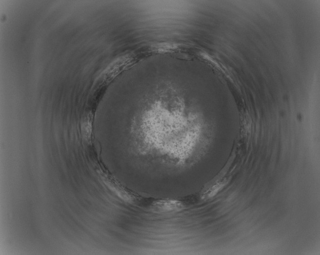 X0000077320427200611031710