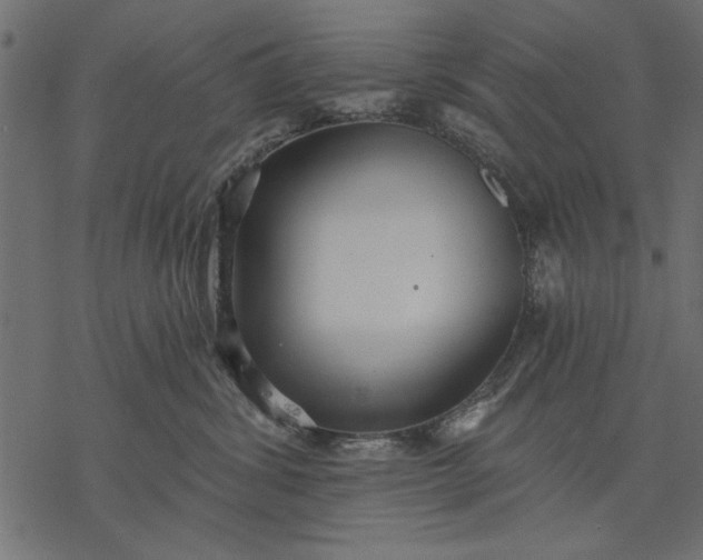 X0000077320428200611031710