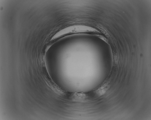 X0000077320429200611031710