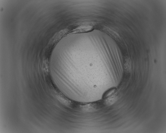 X0000077320430200611031710