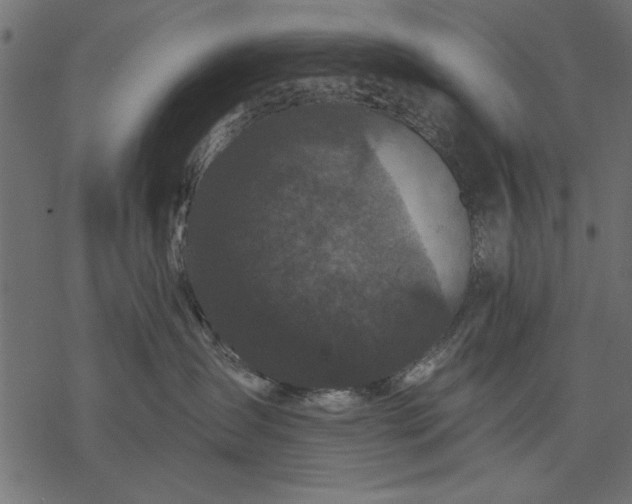 X0000077320431200611031710