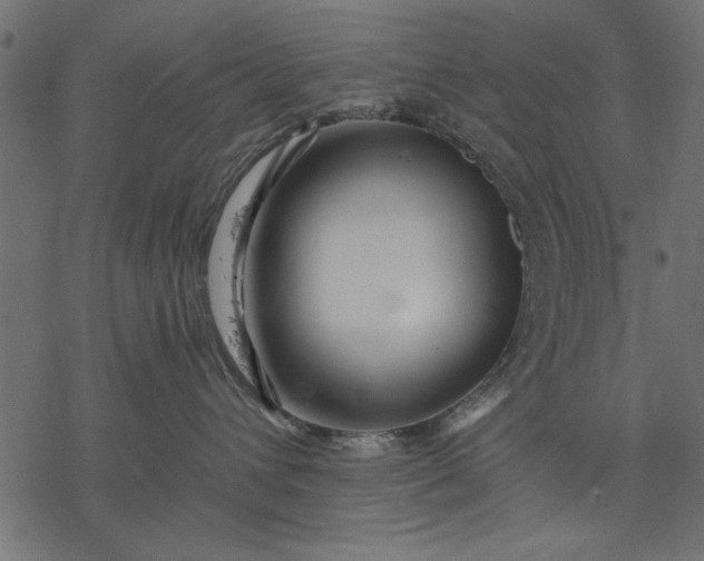 X0000077320432200611031710