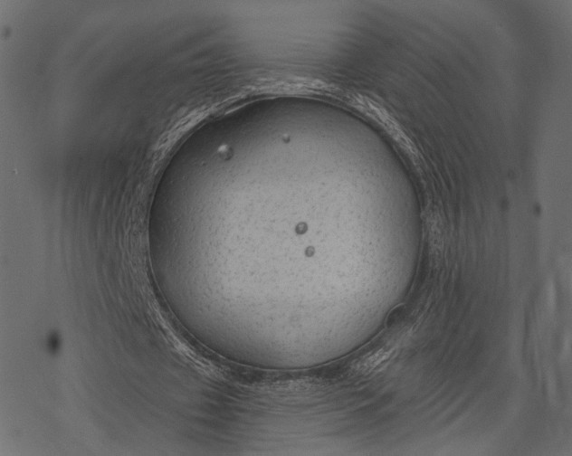 X0000077320433200611031709