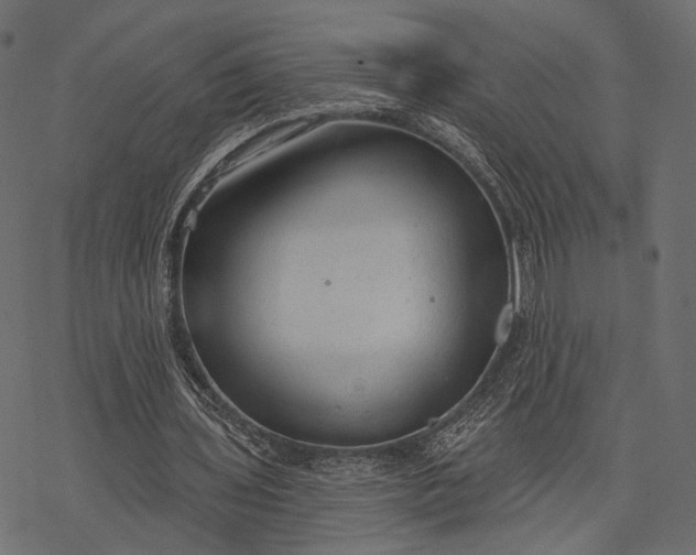 X0000077320435200611031709