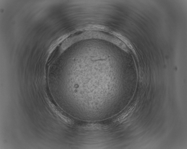 X0000077320437200611031709