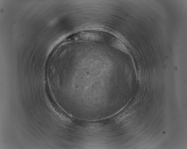 X0000077320438200611031709