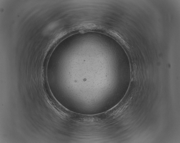 X0000077320439200611031709