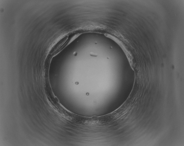 X0000077320440200611031709