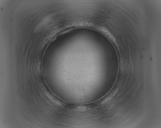 X0000077320441200611031709