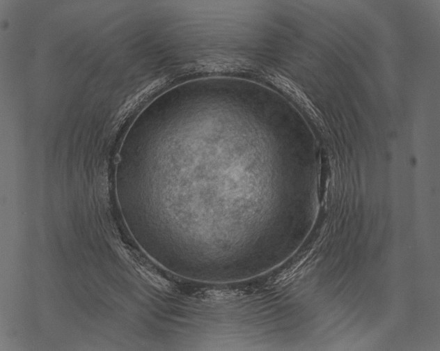 X0000077320442200611031709