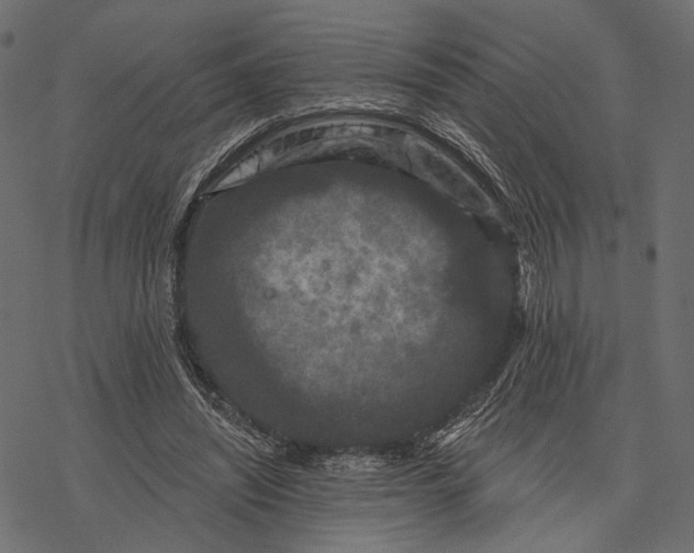 X0000077320444200611031709