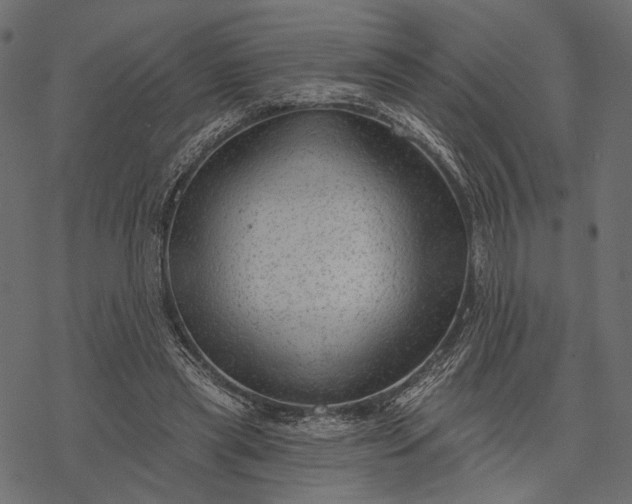 X0000077320445200611031709