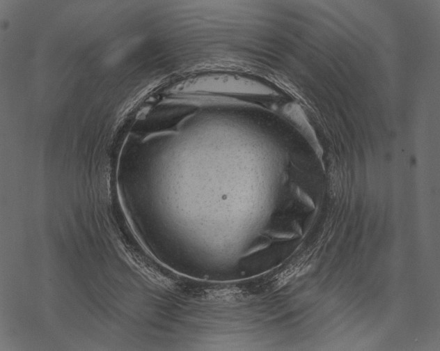 X0000077320446200611031709