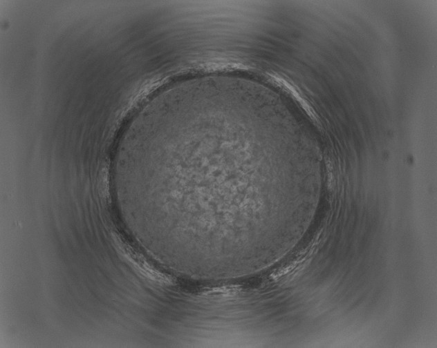 X0000077320447200611031709