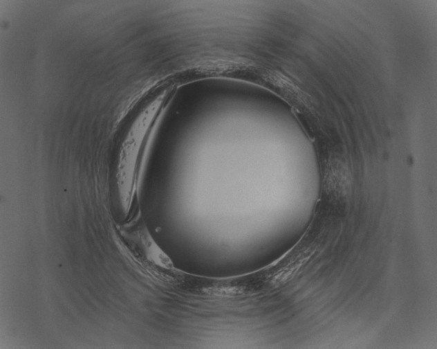 X0000077320448200611031709