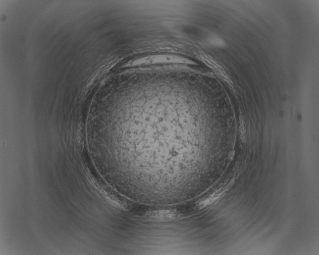 X0000077320449200611031709