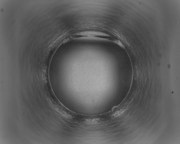 X0000077320450200611031709