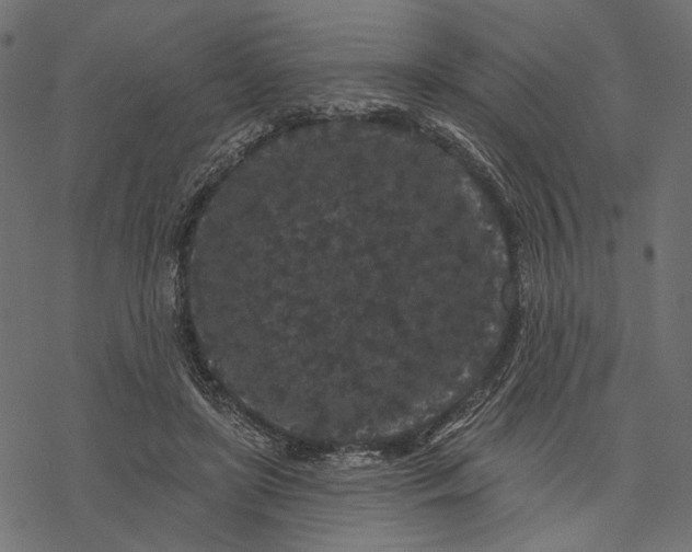 X0000077320451200611031709