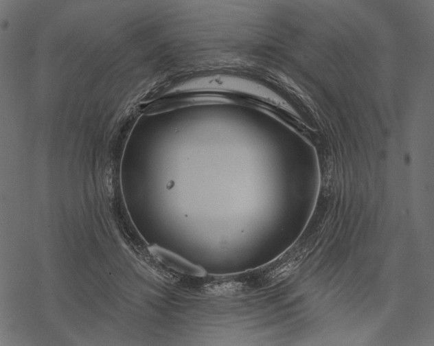 X0000077320452200611031709