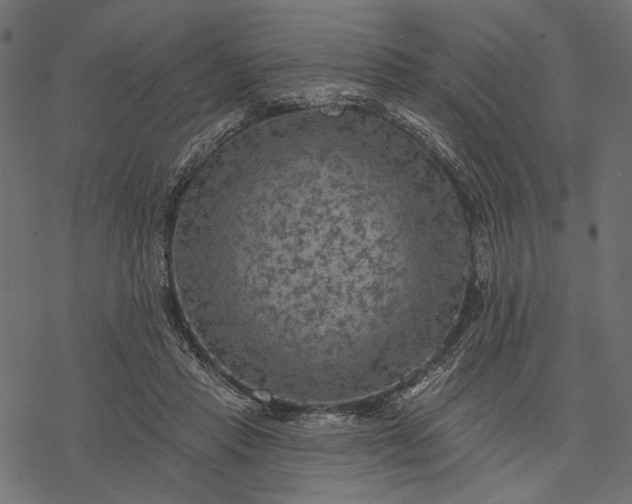 X0000077320453200611031709