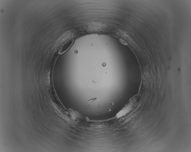 X0000077320454200611031709