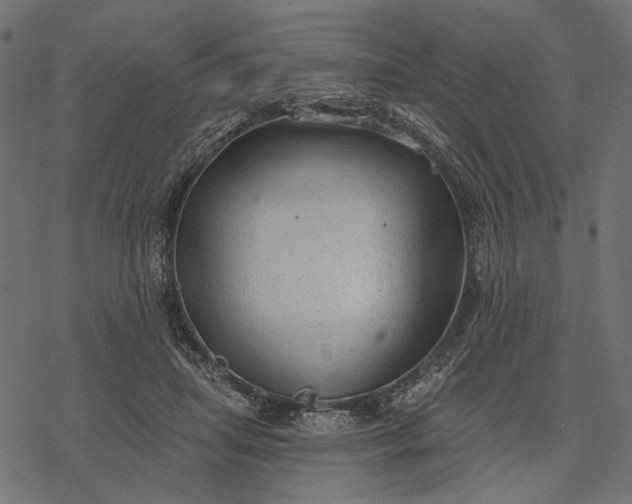 X0000077320455200611031709