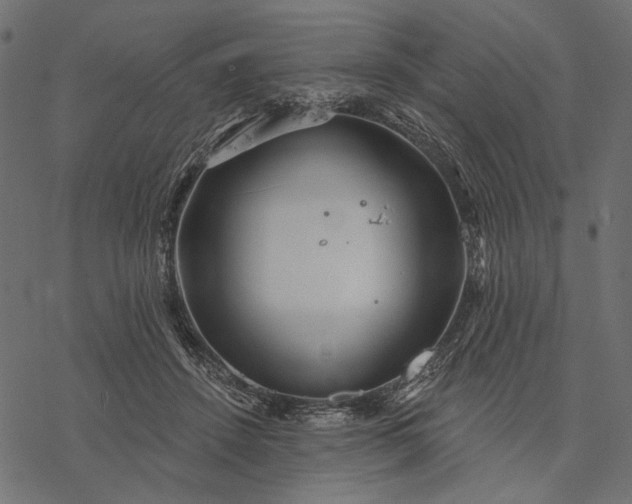 X0000077320456200611031710