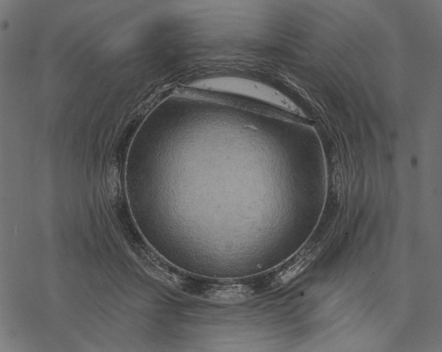 X0000077320459200611031710