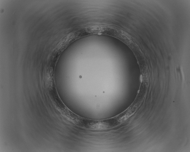 X0000077320460200611031710