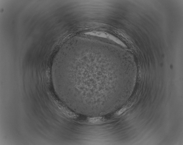 X0000077320461200611031710