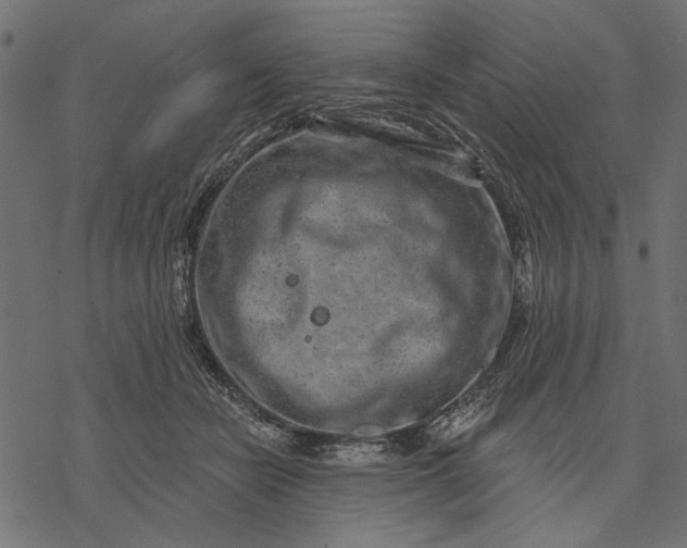 X0000077320462200611031710