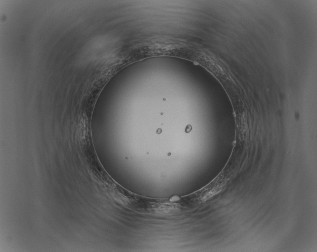 X0000077320463200611031710