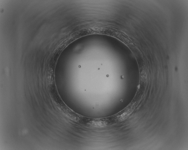 X0000077320464200611031710