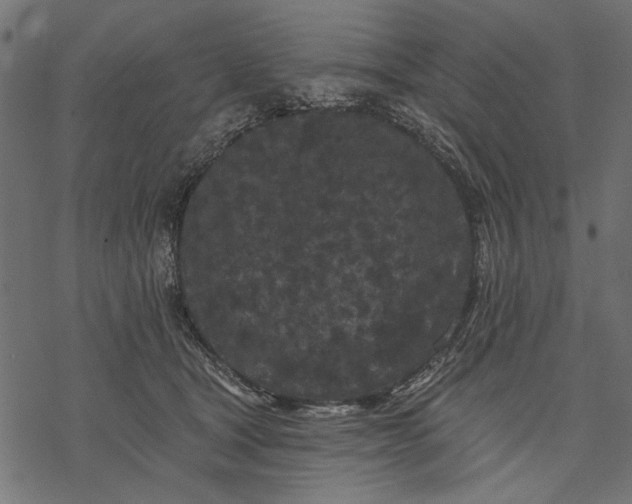 X0000077320465200611031710