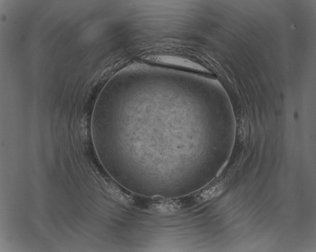 X0000077320466200611031710