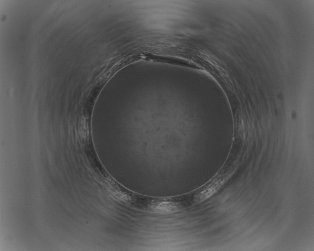 X0000077320467200611031710