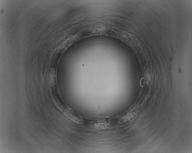 X0000077320468200611031710