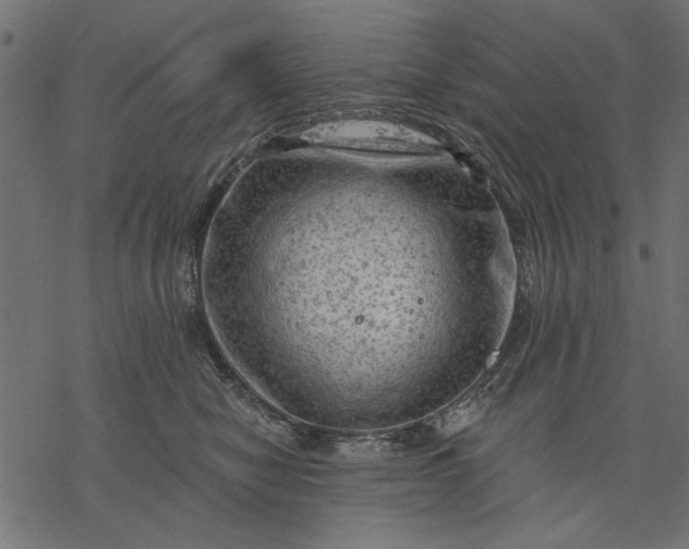 X0000077320470200611031710