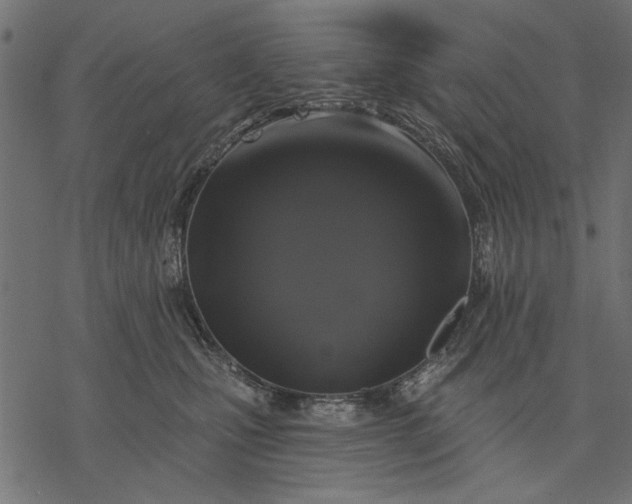 X0000077320471200611031710