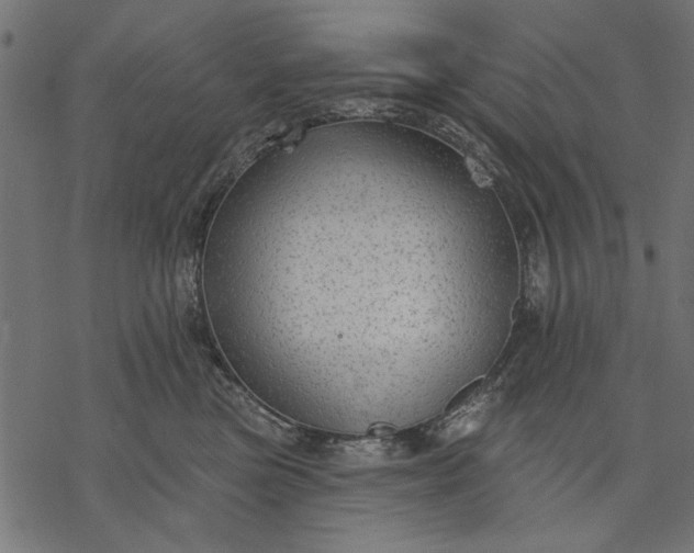 X0000077320473200611031710